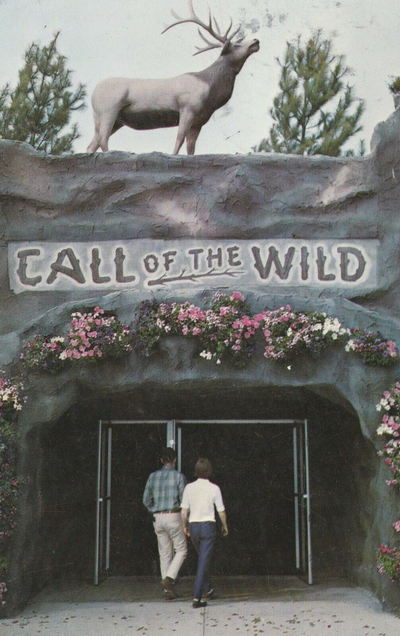 Call of the Wild - Old Postcard